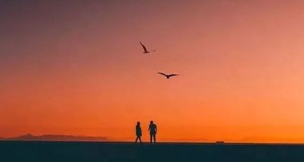 平凡,是每個人生命的底色