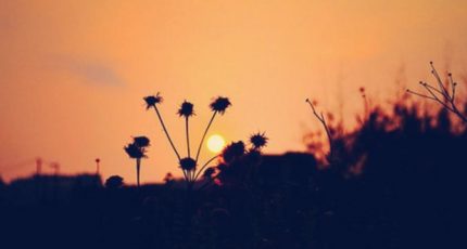 往后余生,心里的話只想說給你聽