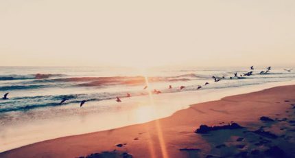 余生不知路,終究要遠行