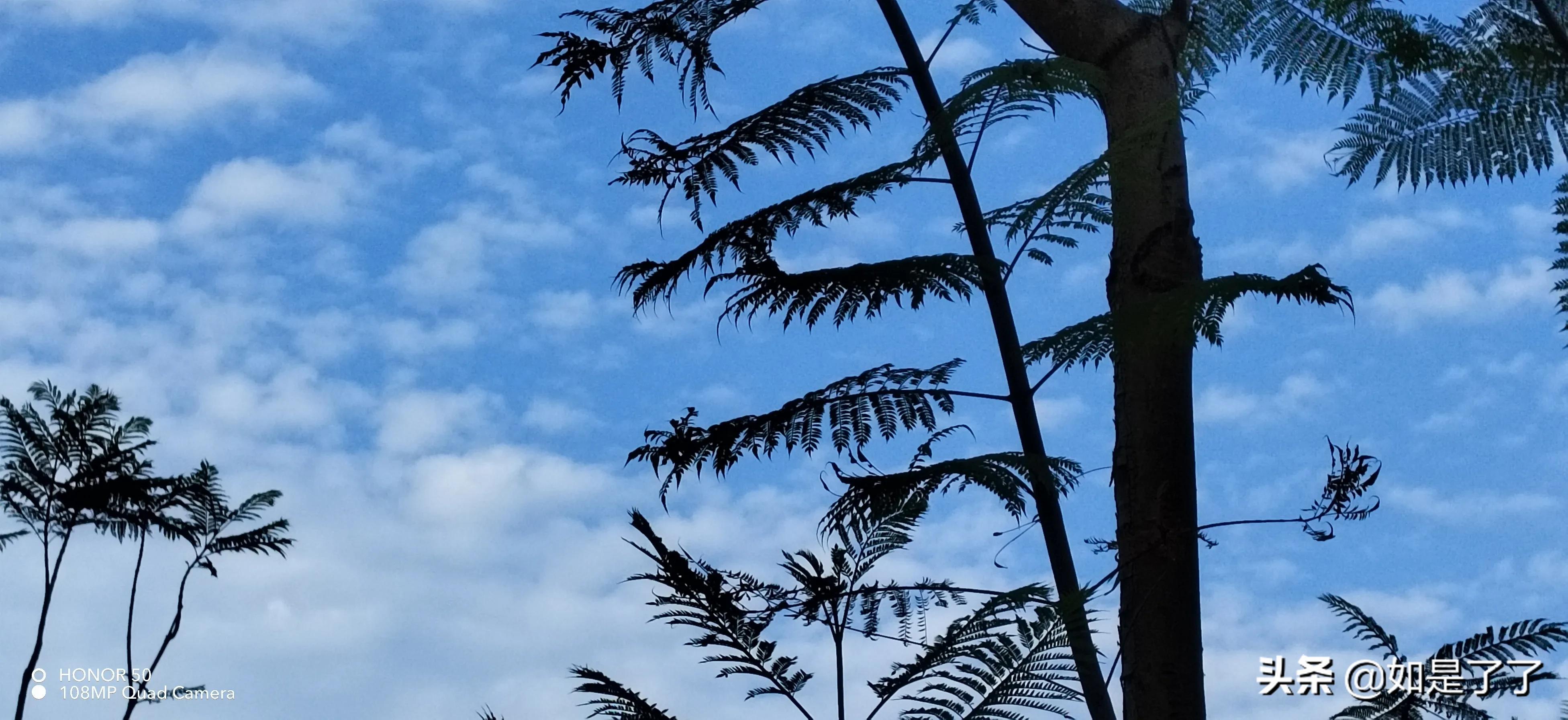 人生過(guò)半，極簡(jiǎn)生活，喜已所喜