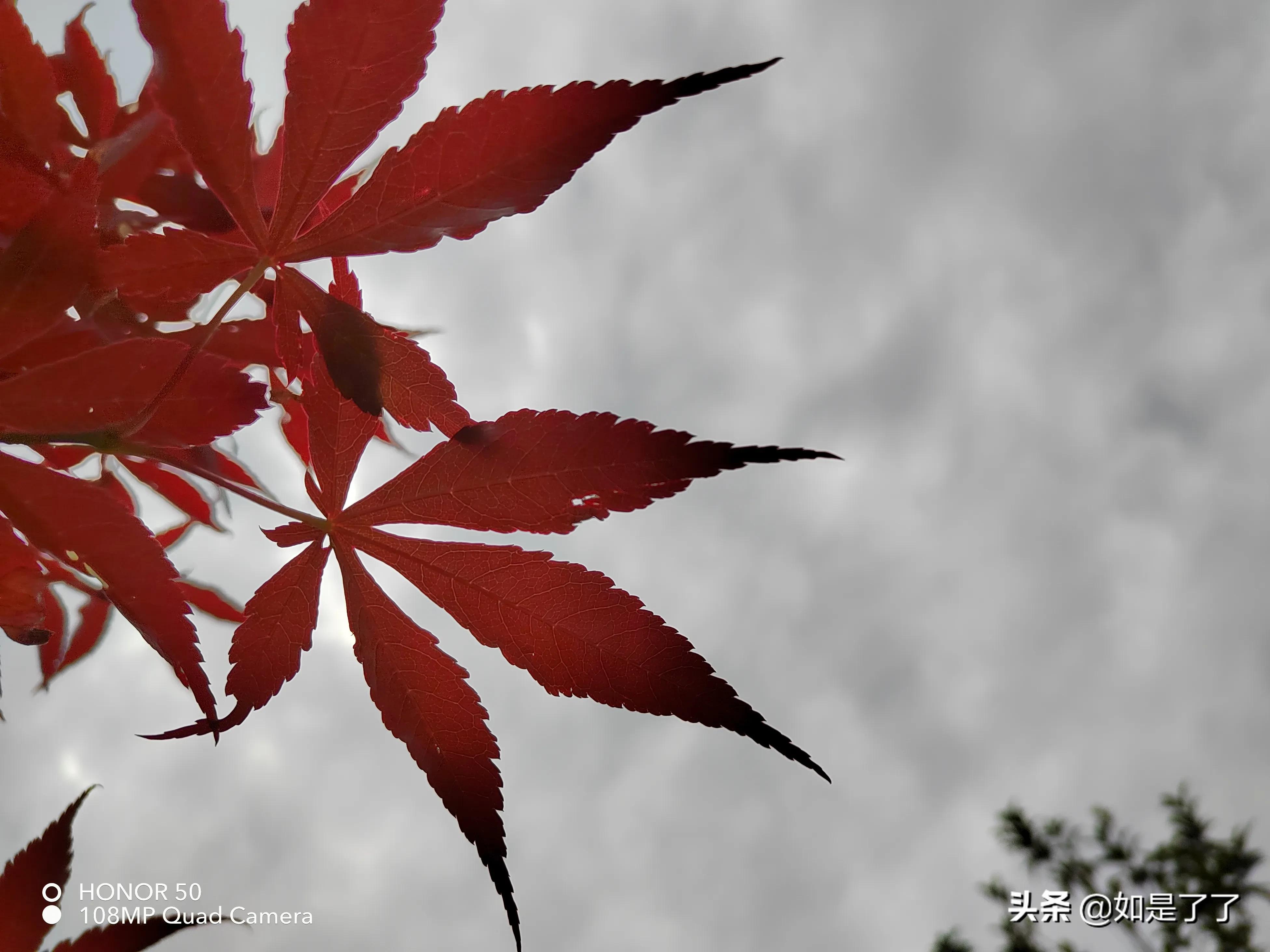 人生過(guò)半，極簡(jiǎn)生活，喜已所喜