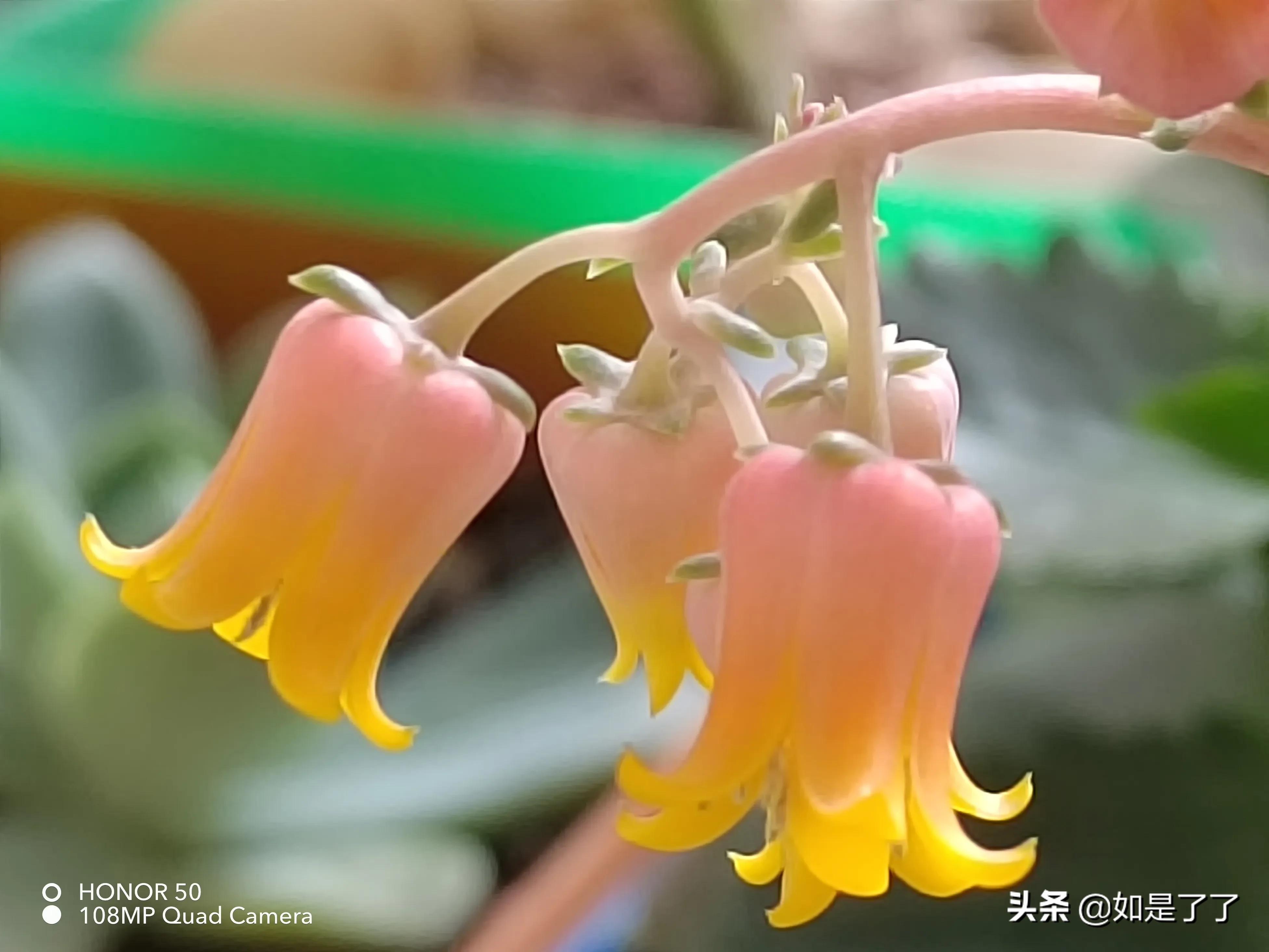 人生過(guò)半，極簡(jiǎn)生活，喜已所喜