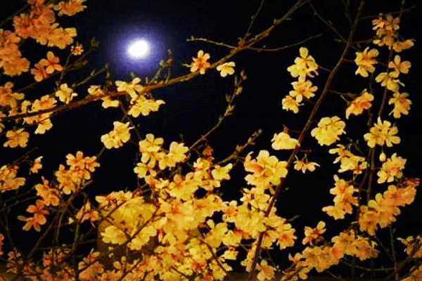 蘇軾作千古名篇《春宵》，勸人珍惜良辰美景，結(jié)果首句就被用污了