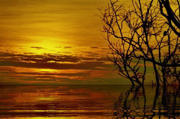 離奇情感故事：七情六欲交錯(cuò)，夢(mèng)與幻、虛妄與真實(shí)的羅生門