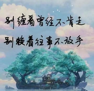 情感語錄（徒手摘星辰卻愛而不得，得不到的才是最好的）