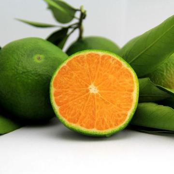 學(xué)會(huì)這三招好媽媽蜜橘 ，就讓你愛(ài)的人離不開(kāi)你