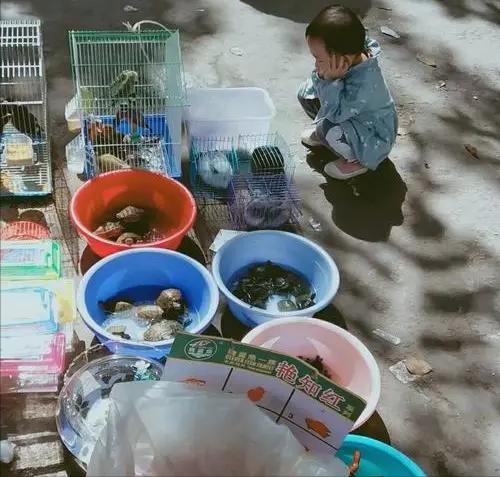 02年女兒放學喊陌生男子爸爸，一查DNA，竟是失散半世紀的親叔叔-圖2