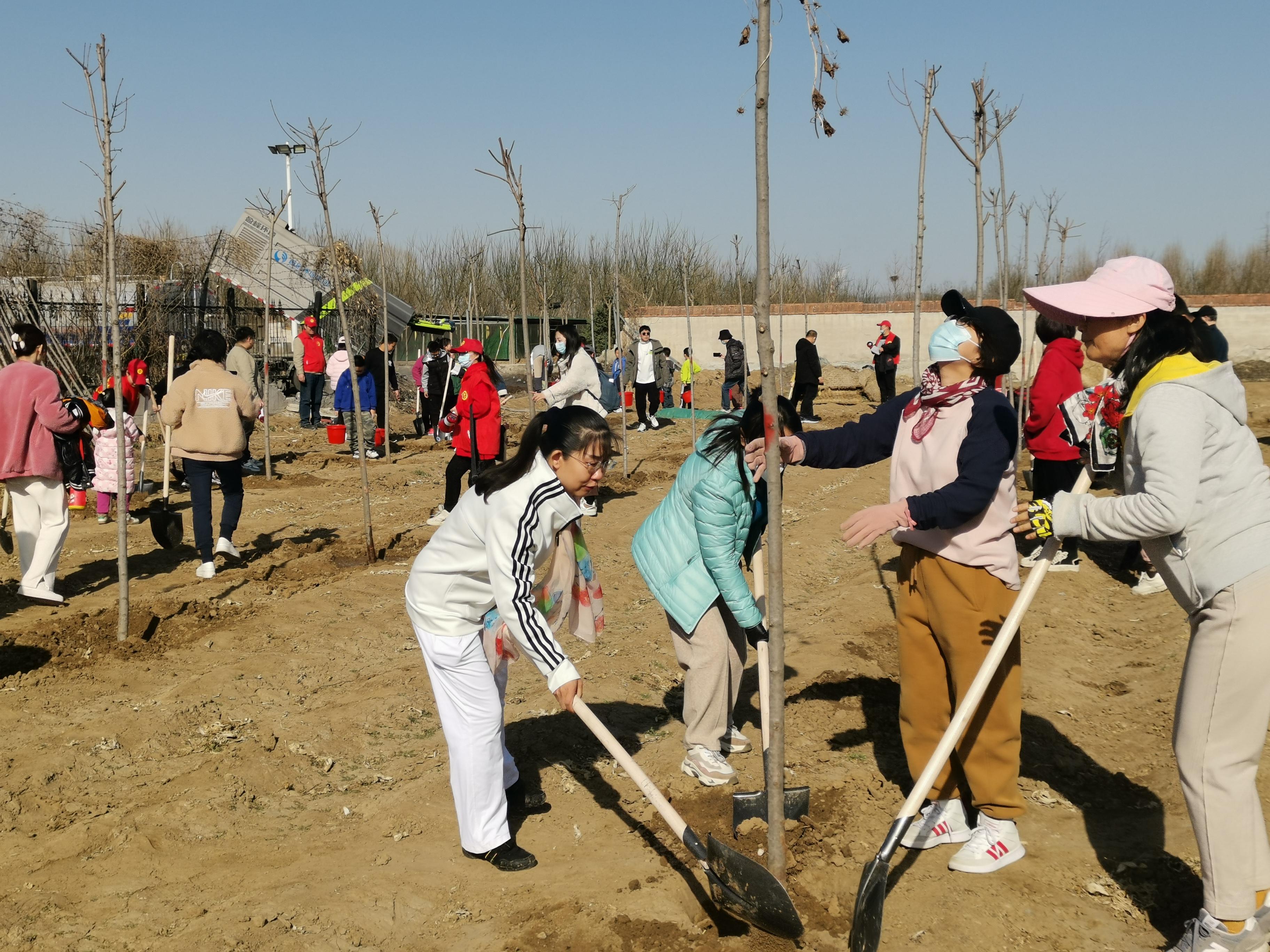 擁抱春天，播種綠色，放飛希望——三河市開展3·12植樹活動-圖2
