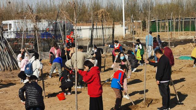 擁抱春天，播種綠色，放飛希望——三河市開展3·12植樹活動-圖1