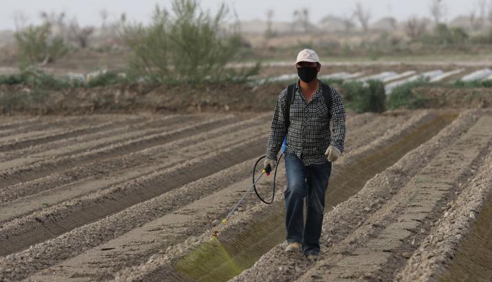 60歲以上農(nóng)民工全部清退？中央一號文件：5個(gè)方面保證農(nóng)民權(quán)益-圖4