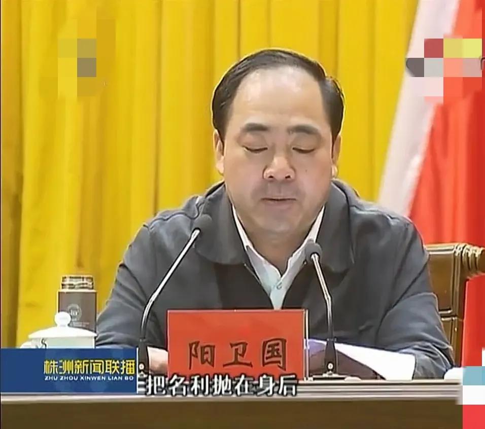 落馬市長陽衛(wèi)國“太子奶冤案”5人組成員，三兄弟和兒子一起被捕-圖4