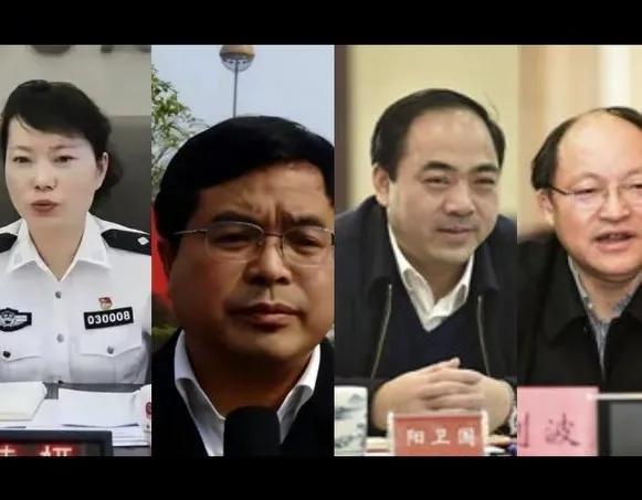 落馬市長陽衛(wèi)國“太子奶冤案”5人組成員，三兄弟和兒子一起被捕-圖2