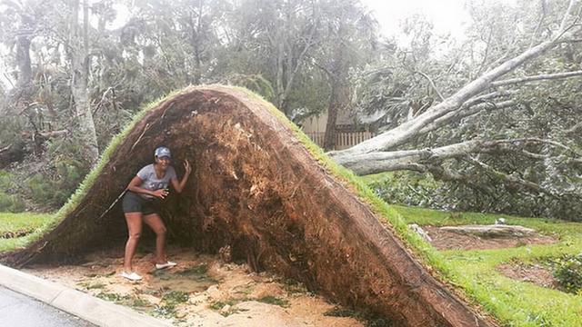 38張照片讓你見識(shí)大自然最殘酷的一面！-圖1
